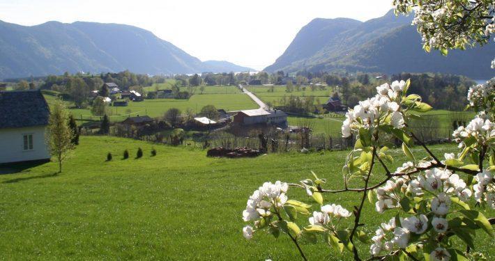 Hoiland Gard Gardshotellet Hjelmeland Exterior foto